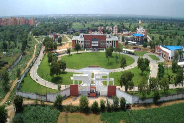 Project Site View