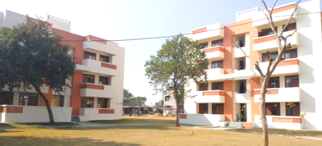 Project Site View